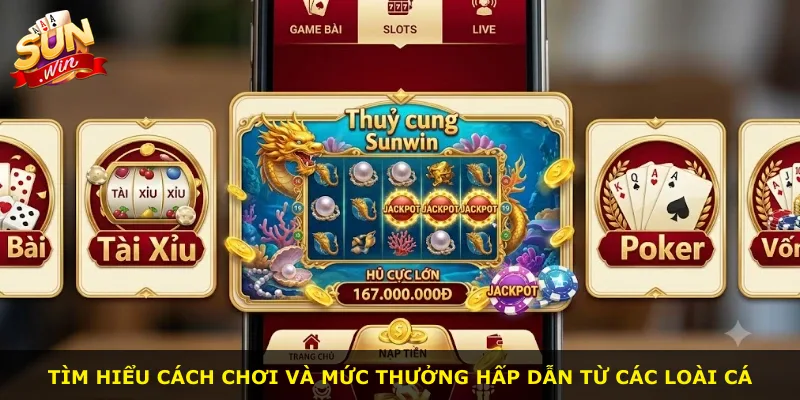Tìm hiểu cách chơi và mức thưởng hấp dẫn từ các loài cá