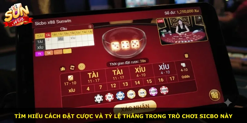 Tìm hiểu cách đặt cược và tỷ lệ thắng trong trò chơi Sicbo này
